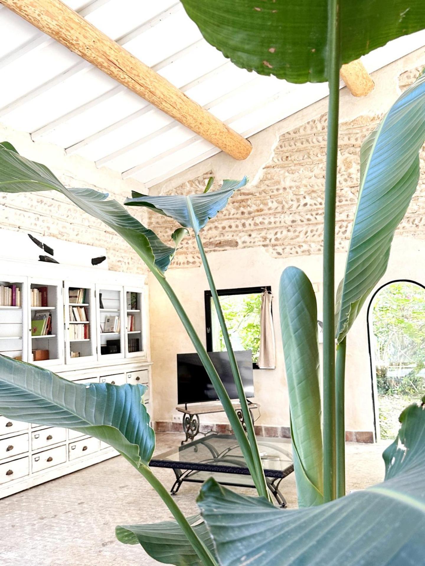 Magnifique Loft - Piscine - Tennis - Babyfoot Nîmes Exterior photo